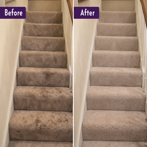 Carpete e cortinas limpas